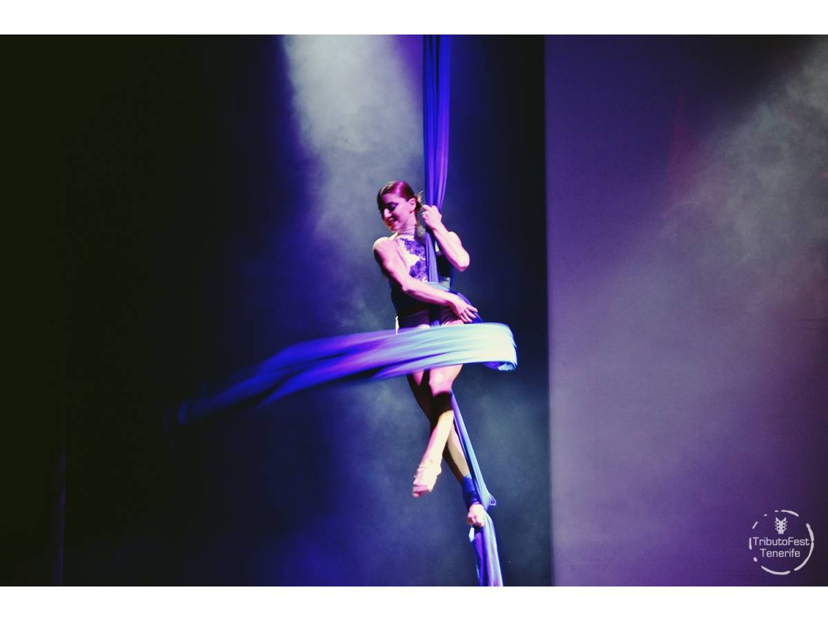 TRIBUTOS: Whitney Houston 14.09.2024