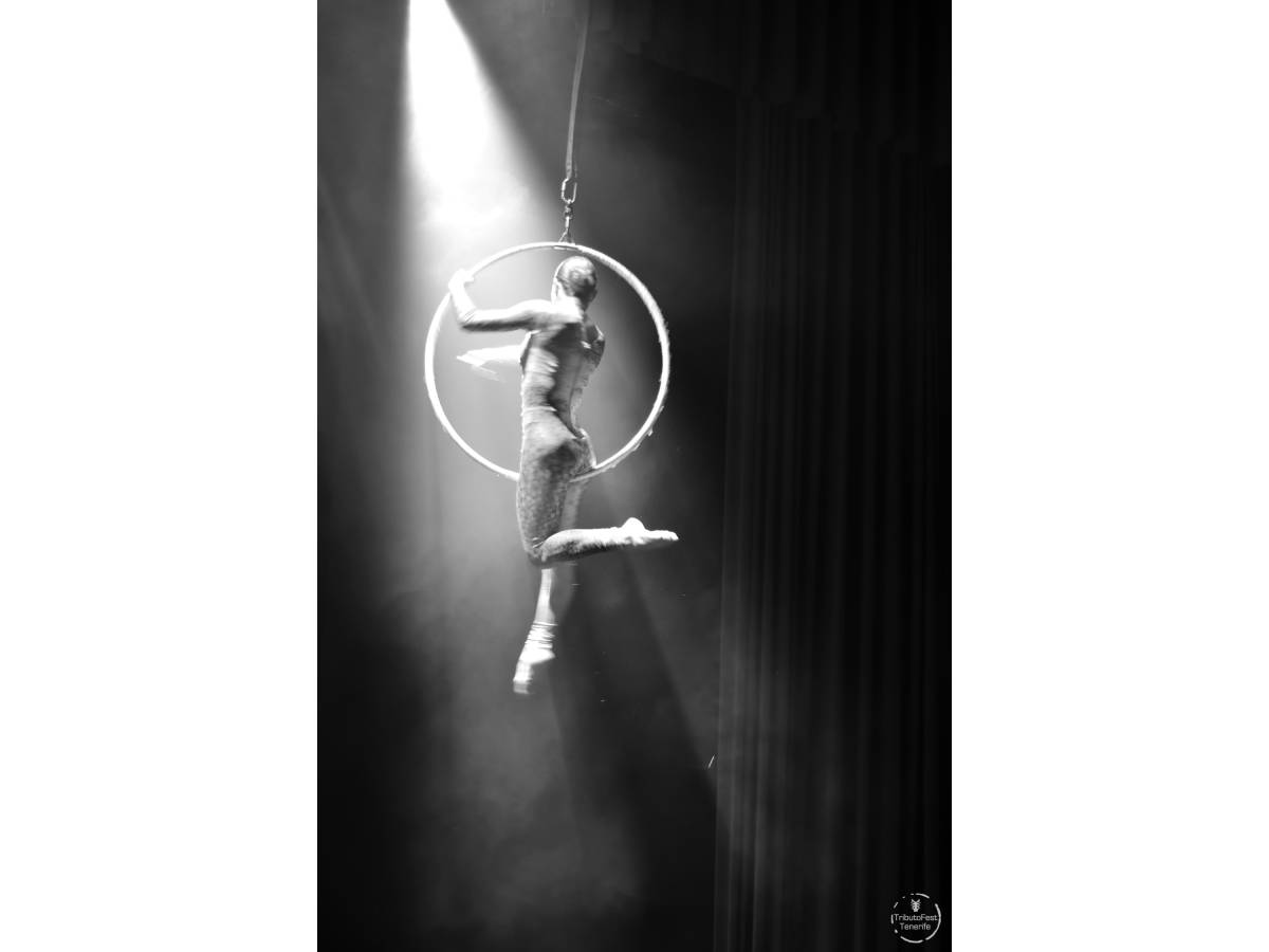 TRIBUTOS: Whitney Houston 14.09.2024